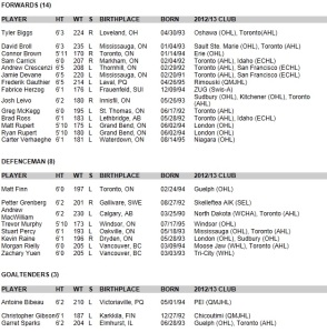2013 Rookie Tournament Roster